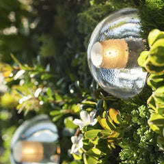 Transparent Hemisfärisk Glas Utomhus Vägglampor